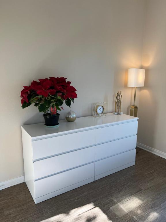 Oasis Home in the heart of LA